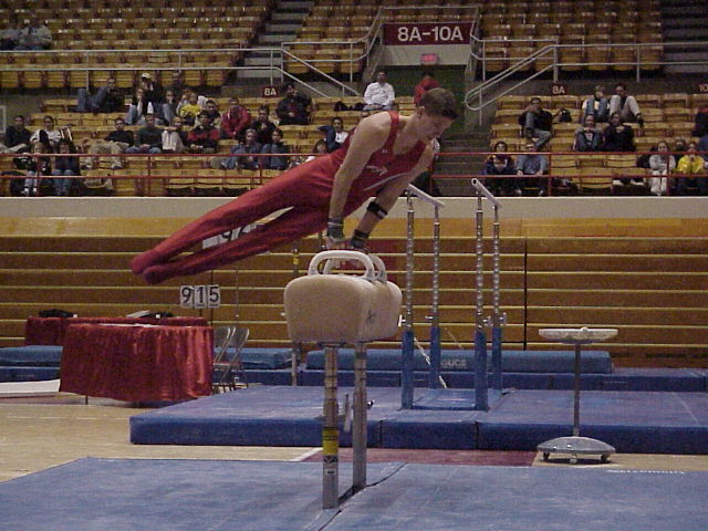 Adam Elliott