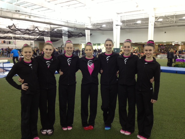 Gymnastics team